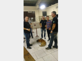 2019 - 4º Encontro Eternos Integrantes 5º BE Cmb Bld